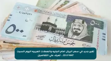 تغير جديد في سعر الريال أمام الجنيه والعملات العربية اليوم السبت 22-2-1447.. تعرف على التفاصيل